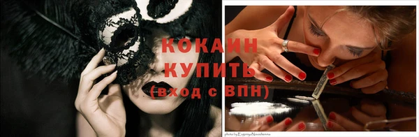 шишки Заволжск