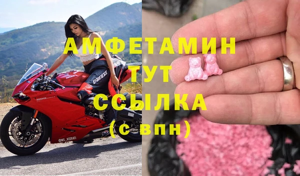 шишки Заволжск