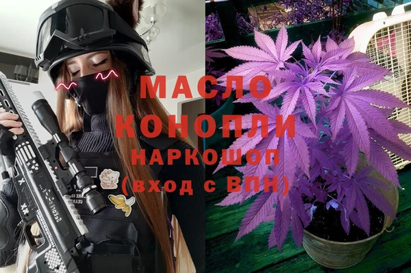 шишки Заволжск