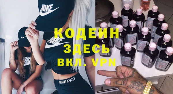 шишки Заволжск