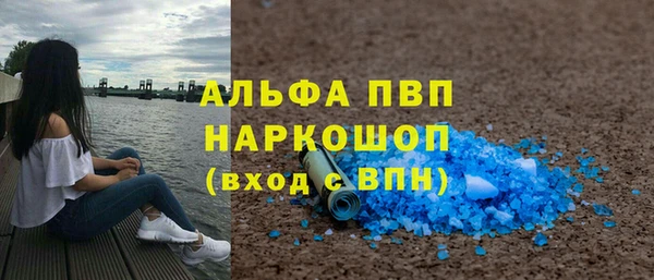 шишки Заволжск