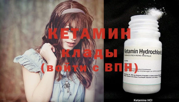 шишки Заволжск