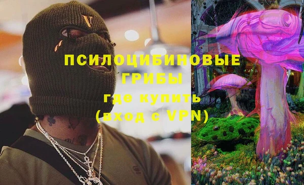 хмурый Ельня