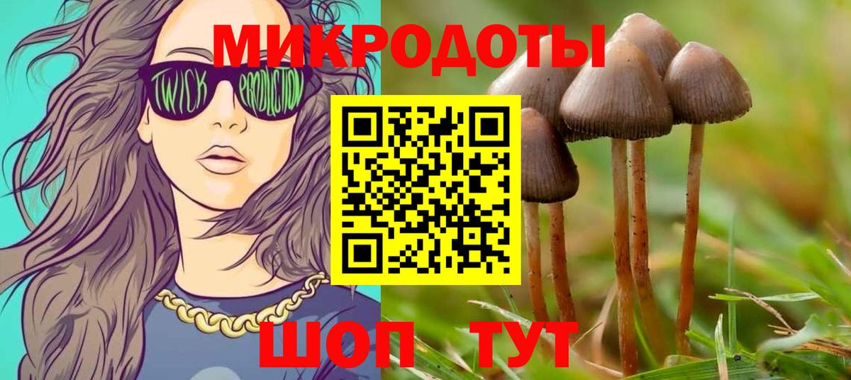 Каменка  Псилоцибиновые грибы мухоморы  Вход с VPN 