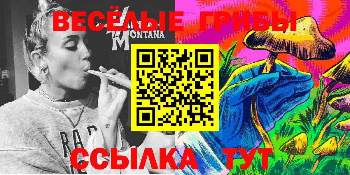 Галлюциногенные грибы Cubensis Каменка